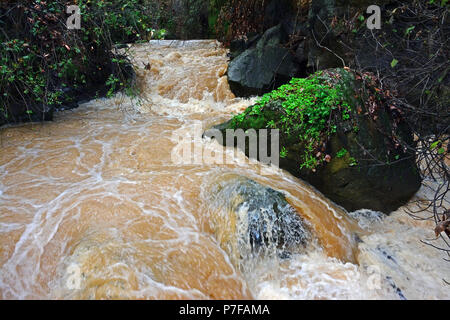 L'Hermon Stream (Banias) Réserve Naturelle, le nord d'Israël Banque D'Images