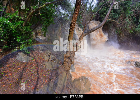 La cascade de Banias (Banyas) dans le flux de l'Hermon (Banias) Réserve Naturelle, le nord d'Israël Banque D'Images
