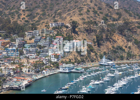 Grand angle de frais généraux d'Avalon bay view port avec casino, du club de yacht, voiliers et yachts sur Santa Catalina island en Californie Banque D'Images