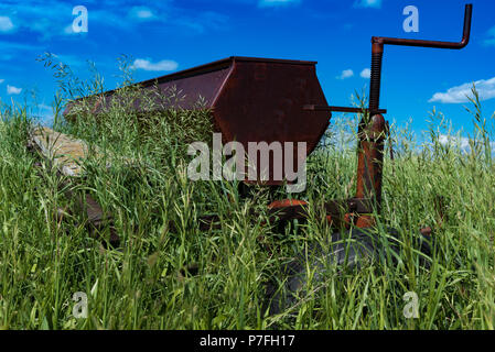 L'agriculture Vintage herse à disques dans un champ entouré de hautes herbes en dehors de Swift Current, Saskatchewan, Canada Banque D'Images