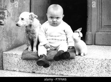 Un bébé avec un chien et lapin en peluche se trouve sur un palier et ressemble sinistrement dans l'appareil photo Banque D'Images