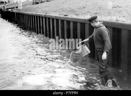 L'homme verse de l'eau d'un arrosoir dans la rivière, 1950, lieu exact inconnu, Allemagne Banque D'Images