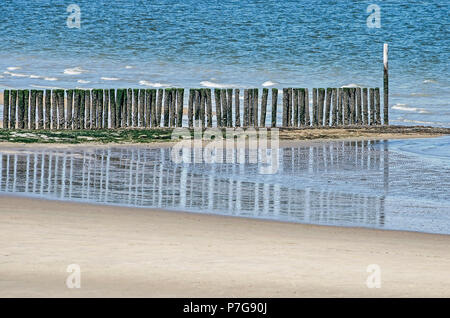 Pieux en bois d'un brise-lames de basalte se reflétant dans les eaux peu profondes, près de la plage de Breskens, Pays-Bas Banque D'Images