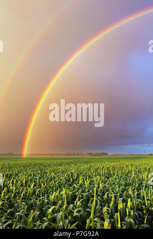 Arc-en-ciel sur domaine Banque D'Images