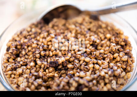 Kutya ou kutia plat de céréales, macro closeup, la Russie et l'Ukraine la veille de Noël repas traditionnel, fait à partir de blé, graines de pavot, raisins secs et miel, Banque D'Images