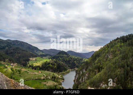 Zaovine valley et le lac vu du haut d'une falaise, avec quelques maisons de village de montagne vu, entouré de pins, au cours d'un après-midi nuageux dans S Banque D'Images