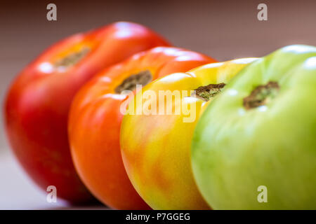 Les tomates à différents stades de maturation. Concept. L'accent est sur la transformation de la tomate. Étapes sont vert puis tourner puis s'allume en rouge puis en rouge. Banque D'Images