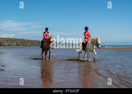 L'équitation à Lunan Bay, Angus, Scotland. Banque D'Images