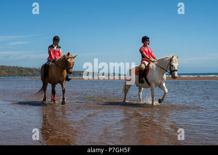 L'équitation à Lunan Bay, Angus, Scotland. Banque D'Images