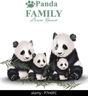 Vecteur de la famille Panda. Illustration détaillée animaux Illustration de Vecteur