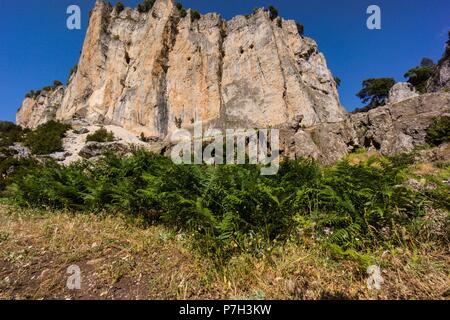 Ruta del rio Borosa, tuneles de la central electrica del salto de Los Organos, Parque Natural sierras de Cazorla, Segura y Las Villas, Jaén, Andalousie, espagne. Banque D'Images