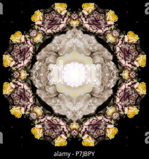 La composition de fleurs dans un mandala ornament Banque D'Images