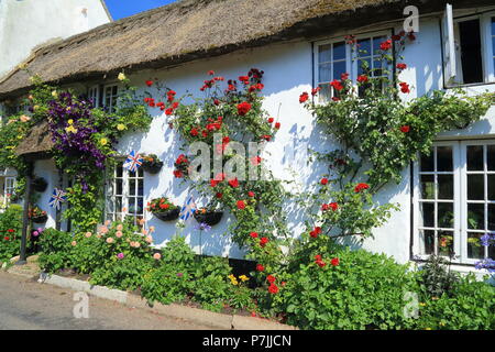 Chaumière avec beau jardin dans le village de Branscombe dans l'est du Devon Banque D'Images