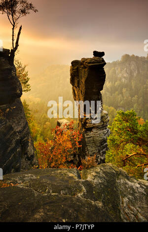 Allemagne, Saxe, Rathen, des montagnes de grès de l'Elbe, la Suisse Saxonne Parc National, voir de 'Wehlnadel» rock (l'aiguille), la lumière du matin Banque D'Images