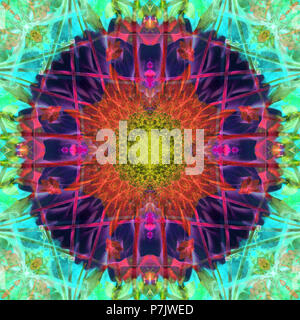 Mandala fleur photographique, vert, rouge, bleu, turquoise, Banque D'Images