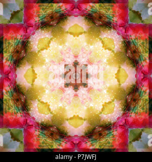 Mandala fleur photographique, jaune, rose, rouge, vert, Banque D'Images