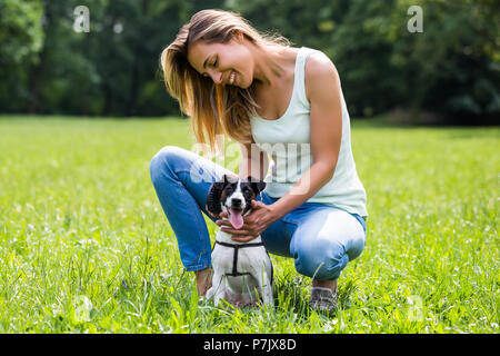 Belle femme peignant son chien Jack Russell Terrier dans la nature. Banque D'Images