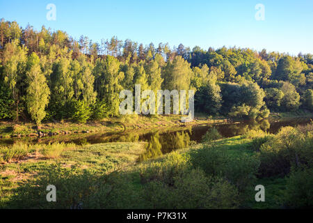 Vue pittoresque de grande rivière entourée de forêt d'été Banque D'Images