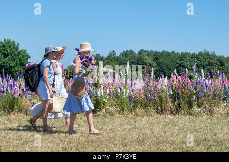 Photographe et modèles avec Delphiniums cultivés dans un champ au vrai pétale de fleur dans les champs de la société Confetti mèche, Pershore, UK Banque D'Images