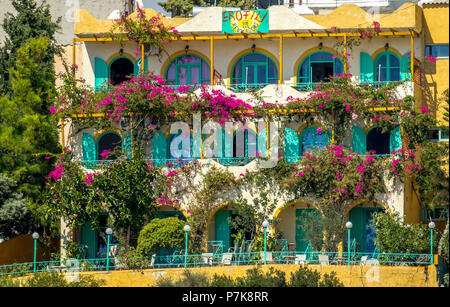 Façade de l'hôtel Hôtel EROFILI de fleurs hibiscus (Hibiscus) à Agia Galini, l'Europe, la Crète, Grèce Banque D'Images