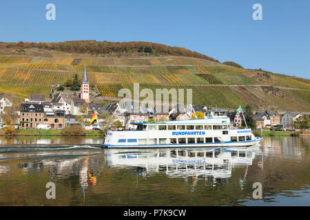 Vue sur la Moselle à Merl, district de Zell an der Mosel, Rhénanie-Palatinat, Allemagne Banque D'Images