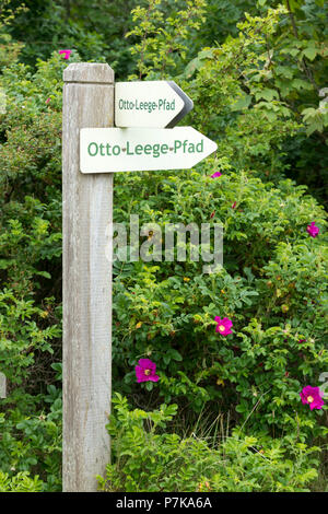 Allemagne, Basse-Saxe, Frise Orientale, Juist, l'Otto Leege Trail est un sentier de nature artistique / écologique sur l'île de Juist est de la Frise. Banque D'Images