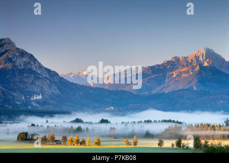 Königswinkel avec le château de Neuschwanstein près de Schwangau, Allgäu, Haute-Bavière, Allemagne Banque D'Images