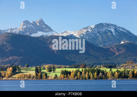 Vue sur les Alpes à l'Hopfensee, Ostallgäu, Haute-Bavière, Allemagne Banque D'Images