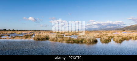 Le parc naturel S'Albufera, dans le nord-est de Majorque, Iles Baléares, Espagne Banque D'Images