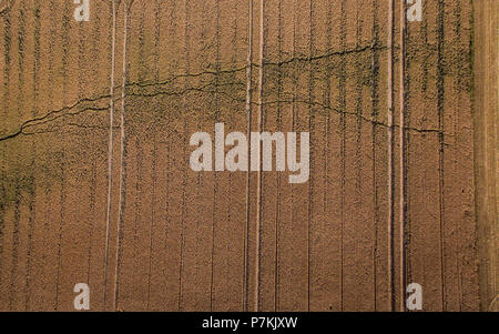 Dissen, Allemagne. 07Th Juillet, 2018. Fissures dans un champ de maïs sec. (Photo prise à l'aide d'un drone) Credit : Friso Gentsch/dpa/Alamy Live News Banque D'Images