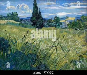 Vincent van Gogh (1853-1890), maïs vert (champ de blé vert avec cyprès), 1889. Galerie Nationale à Prague (Národní galerie v Praze). Huile sur toile Banque D'Images