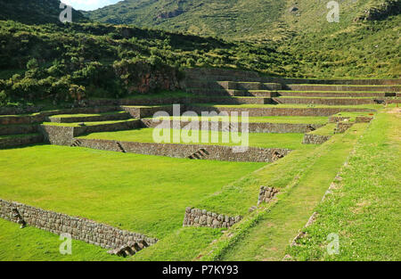 Anciennes terrasses agricoles tentaculaire de Tipon dans la Vallée Sacrée, Cuzco, Pérou région Banque D'Images