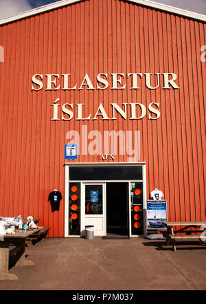 Centre, Chambre d'étanchéité, l'Islande, Hvammstangi Banque D'Images