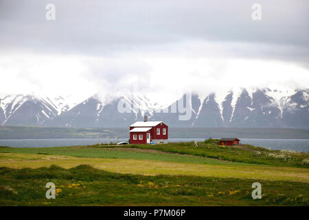 Maison, montagne, paysage, Islande Banque D'Images