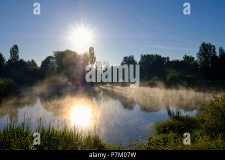 Le lever du soleil, à l'Altmühlsee Muhr am See, l'Altmühltal, Lake District de Franconie, franc, Franconia, Bavaria, Germany Banque D'Images