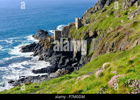 Ruines de l'ancienne mine de côte rocheuse, ancienne mine d'étain, Botallack Mine, St Just en Penwith, Cornwall, Angleterre, Royaume-Uni Banque D'Images