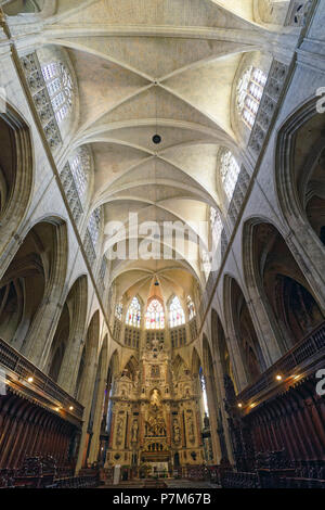 France, Haute Garonne, Toulouse, place Saint Etienne, cathédrale Saint Etienne Banque D'Images