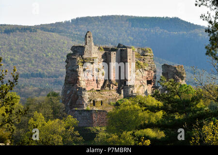 La France, Bas Rhin, Lembach, ruines du château de Fleckenstein en date du 12e siècle Banque D'Images