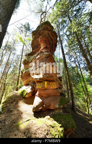 La France, Bas Rhin, Dambach, étranges rochers de grès rose Banque D'Images
