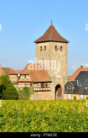 La France, Bas Rhin, Alsace Wine Route, Dambach La Ville, porte médiévale, tour à Ebersheim Banque D'Images