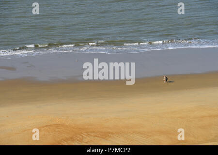 France, Charente Maritime, la Côte Sauvage, la pointe de la Coubre, La Tremblade, la plage de la Côte Sauvage, près du phare de la Coubre Banque D'Images
