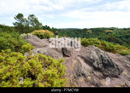 France, Morbihan, Broceliande Forêt, Trehorenteuc, randonneur au Val sans retour (Val sans retour) Banque D'Images