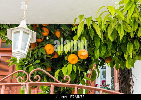 Une vue typique dans le village traditionnel d'Omodos à Chypre Banque D'Images