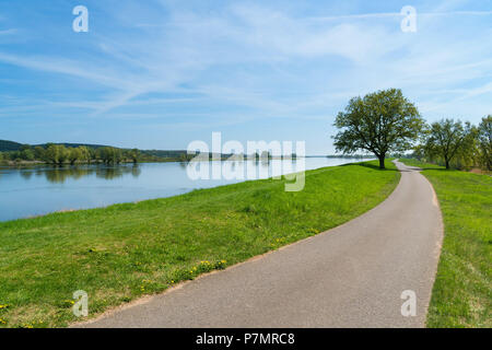 Le Brandebourg, de l'Oder, paysage, dyke Banque D'Images