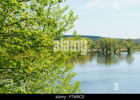 Le Brandebourg, l'Oderbruch, Oder, nature reserve Banque D'Images