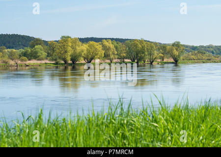 Le Brandebourg, de l'Oder, paysage Banque D'Images