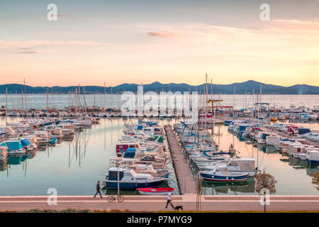 L'Europe, Croatie, Dalmatie du nord, côte dalmate, Zadar, Zara, bateaux du port de Tankerkomerc Banque D'Images