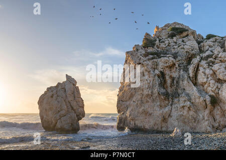 Chypre, Paphos, Petra tou Romiou également connu sous le rocher d'Aphrodite au lever du soleil Banque D'Images