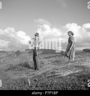 L'homme et la femme la récolte, da. 50 ans, près de Fribourg, Allemagne Banque D'Images