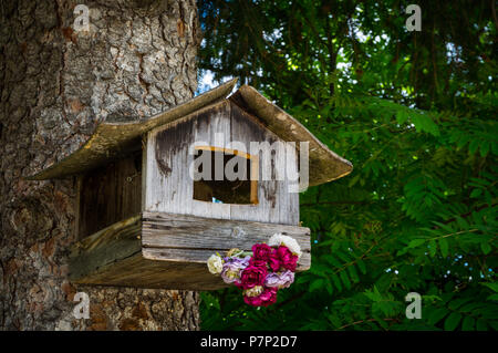 Une cabane accrochée à un arbre dans une forêt de pins dans Alpes du Tyrol Banque D'Images
